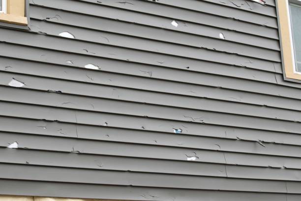 Same-Day Junk Removal Services in East Liverpool, OH